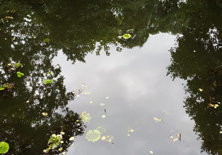 Rådvad 20190819_151842 tema Rådvad